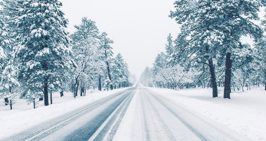 Snowy winter landscape in Ireland featuring icy trees and a snow-covered road.