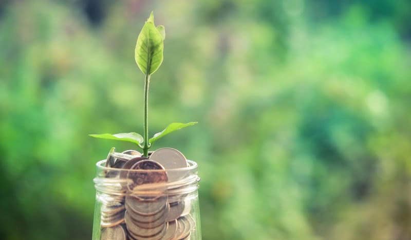 A vibrant scene at the Irish Senior Citizens Parliament promoting active aging and senior engagement.
