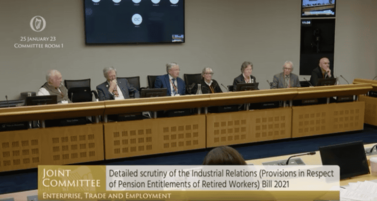 Senior citizens parliamentary event focused on pensions and elderly rights, enhancing senior wellbeing in Ireland.